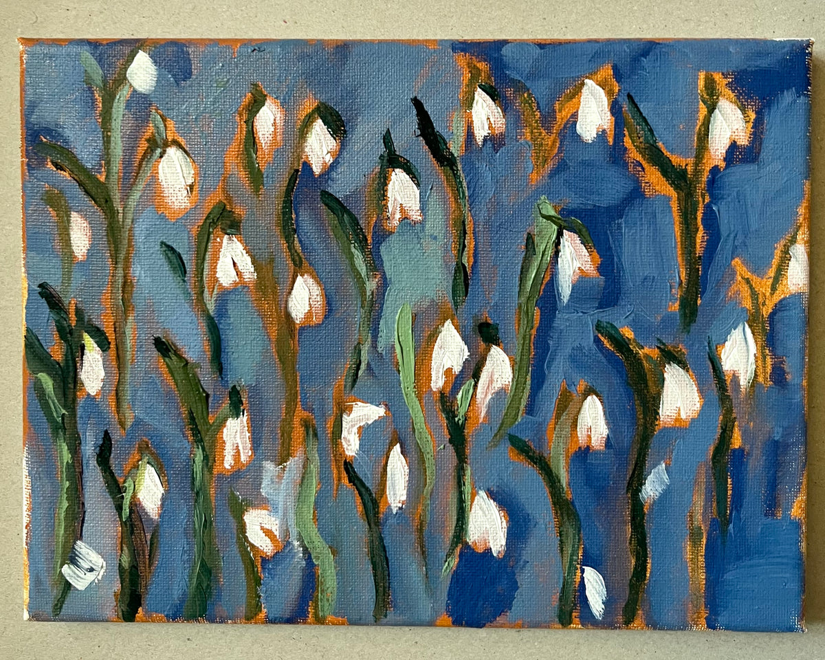 Galanthus nivalis